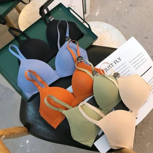 Women Seamless Bra Soft Wireless Sexy Lingerie Fashion Adjusted Bras Female A B Cup Bralette Push Up Underwear 2021