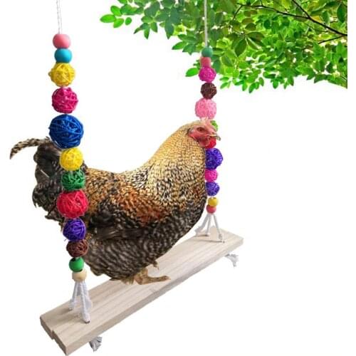 Exquisite Garden Hanging Pendant Add Fun Toys Parrot Gray Swing Hanging Bite-resistant Wood Birds Play Perch Toy for Chicken