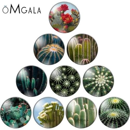 New Green Plant Cactus Round Glass Cabochon 12mm 16mm 18mm 20mm 25mm DIY Keychain Earrings Jewelry Findings