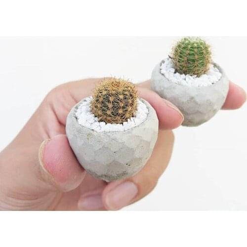 Cute Mini Silicone Vase Molds Concrete Molds for Plants Fingertip flowerpot Molds Plaster Cement Molds