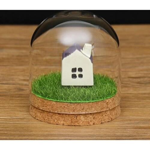 Clear Glass Display Dome Cover Cloche Bell Jar Succulent Terrariums with Wood Cork for Home Office Table Decor DIY Great Gift