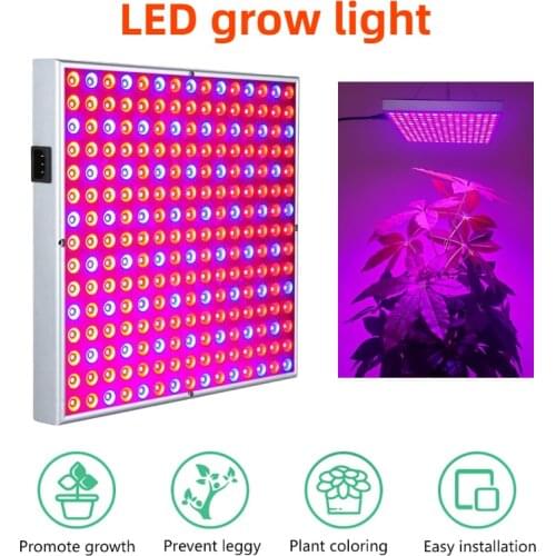 DUOGU LED Plant Lamps