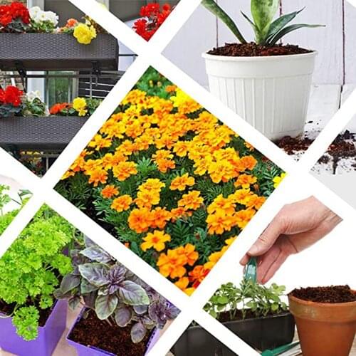 650g Planting Coco Nutrient Soil Coconut Coir Bricks Coir Pith Growing Media for Plant Hydroponic