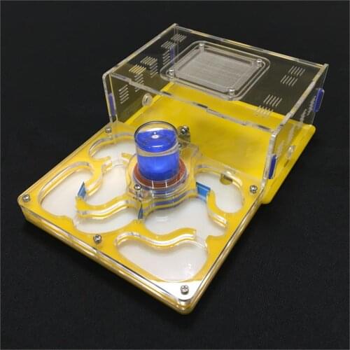 Ant-grape L plane moisture with feeding area ant nest,ant farm acrylic,insect ant villa pet advanced mania for house ants