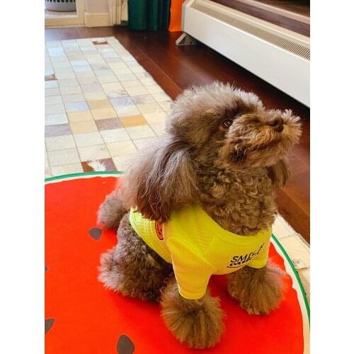 INS Wind Korean Spring and Summer New Smiley Face Embroidery Korean Pet Clothing Dog Clothes Stretch Cotton Soft