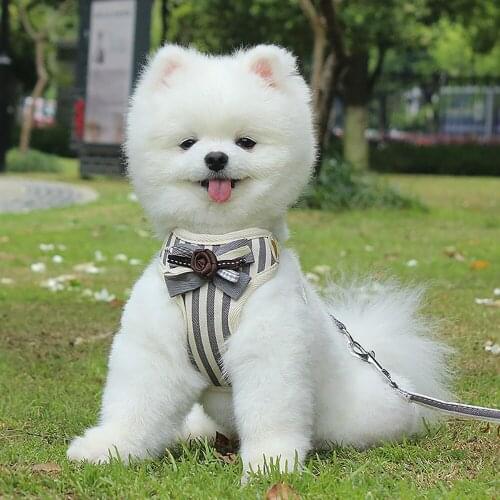 Dog Cat Harness Leash Set Pet Adjustable Vest Walking Lead Leash for Puppy Polyester Mesh Harness for Small Medium Dog