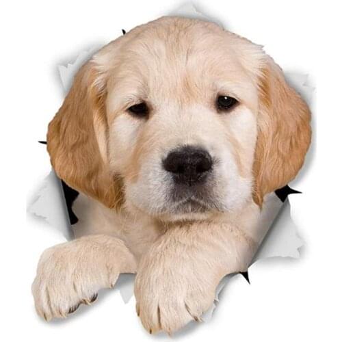 3d Dog Cute Golden Retriever Puppy Car Sticker for Wall Refrigerator Toilet and Cover Scratch Custom,12CM*9CM