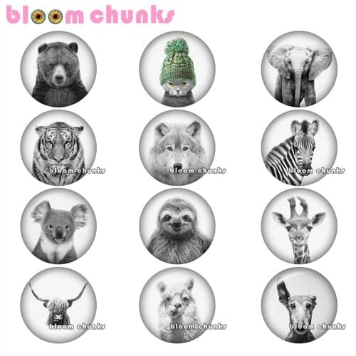 Round photo glass cabochon animals bear cat elephant demo flat back Making findings 12mm/18mm/20mm/25mm A8273