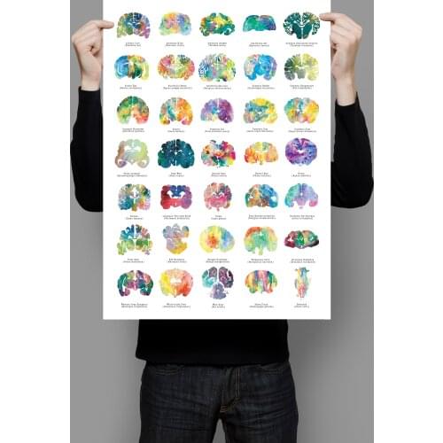 Animal Brain Poster Colorful Neurology Veterinary and Psychology Wall Decor Poster Print Wall Picture For Living Room Home Decor