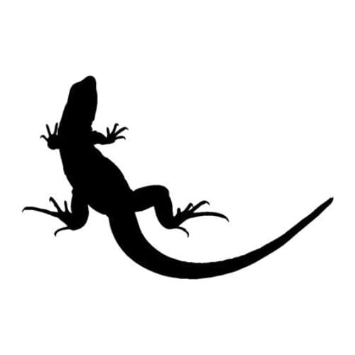 Etiqueta do carro lagarto engraçado adesivo de carro decalque do vinil prata/preto para auto adesivos de carro estilo do N2105