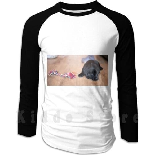 Puppy Toys hoodies long sleeve Puppy Pup Puppa Dog Hound Labrador Lab Black Lab Black Labrador Black Chew Toy