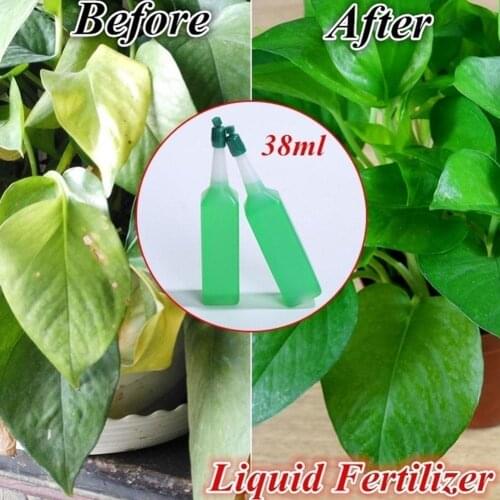 38ml Hydroponic Plant Nutrient Solution Fertilizer Bamboo Concentrated Fertilizer Seed Flower Foliar Green Potted Fertilize J3C1