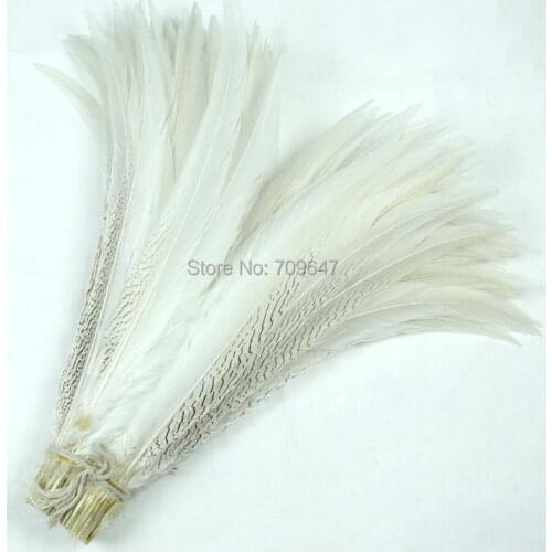 50pcs/lot!28-30inch 70-75cm Super Long Silver Pheasant Tail Feathers,Natural Silver Pheasant Tails,Feathers Decoration