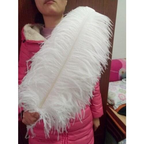 10 pcs high quality white ostrich feather22-24inches / 55-60cm diy decorative vases / Accessories / Apparel