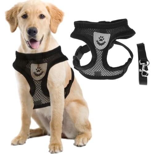 Personalized Dog Pet Breathable Vest Harness Breathable Adjustable Pet Harness Leash Puppy Walking Harness Dog Harness Vest