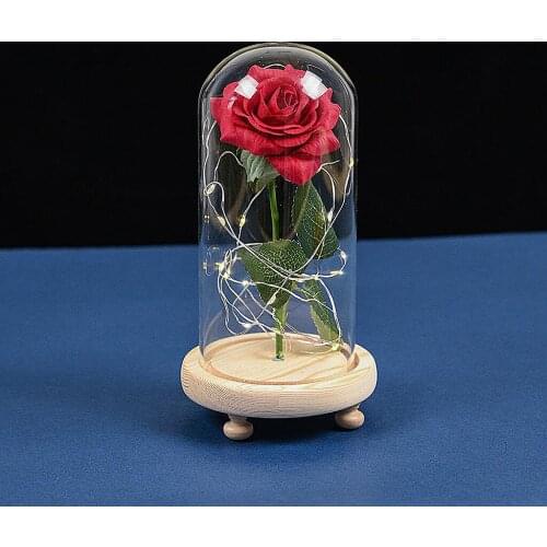 Rose Flower In Dome Glass LED Night Lamp Thanksgiving Xmas Decor Gift