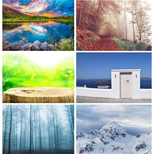 Natural Scenery Photography Background Spring Landscape Travel Photo Backdrops Studio Props 2196 SSL-03