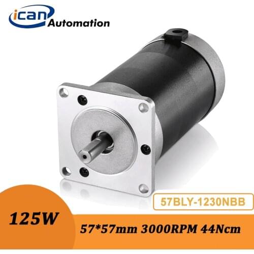 ICAN 125Watt 24volt 44Ncm Brushless Torque Motor