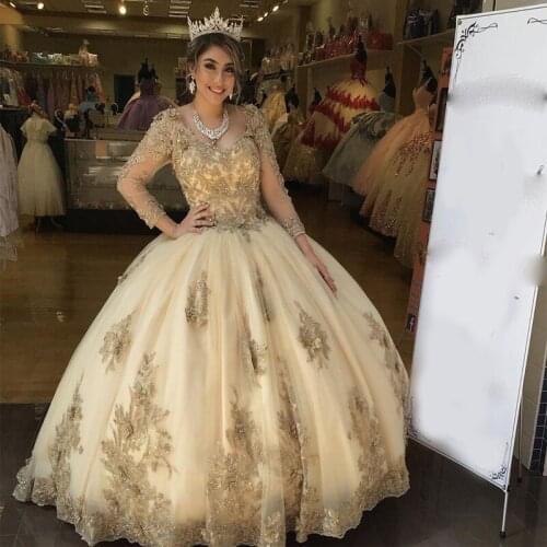 3D Floral Appliques Beaded Quinceanera Prom Dresses Deep V-neck Long Sleeves Evening Party Sweet 16 Dress