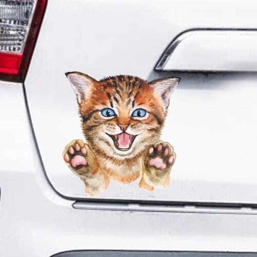 Cat Car Stickers Wall Mural For Bathroom Toilet Seat Decors Pvc Decorative Vinyl Window Posters Self-adhesive Wallpaper Art Home