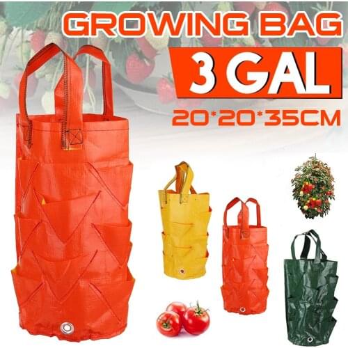 Strawberry Grow Bag 3 Gallon Planting Bag PE Nursing Pots with Handles Vegetable Grow Bag for Indoor/Outdoor Ship Fast delivery