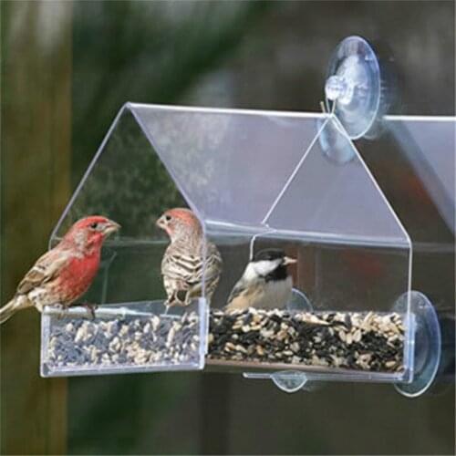 Bird Feeding Clear Glass Window View Bird Feed Feeding Supplies Hotel Table Pet Bird Seed Peanut Hanging Suction Feeder