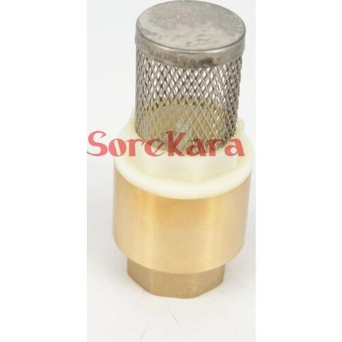 1/2" BSP Female Brass Body Stainless Net Spring Check Valve with Strainer Filter 1.6 Mpa