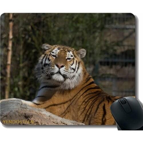Mouse Pad Personalized,Tiger Predator Big Cat Lies 112525 Gaming Mouse Mat