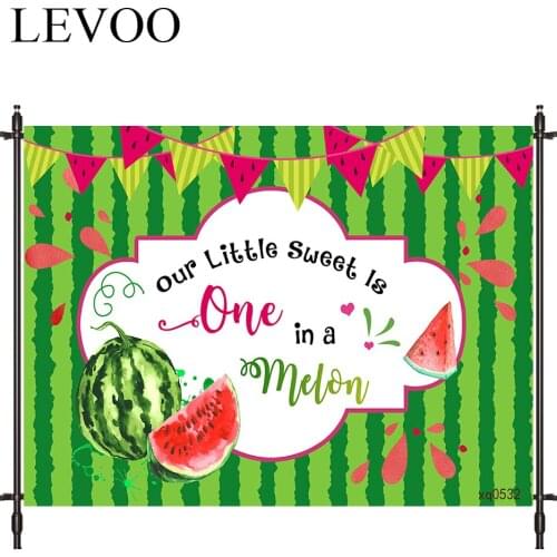 LEVOO Photographic Background Watermelon Summer Pattern Birthday Cool Photo Studio Photocall Printed Shoot Prop Decor Fabric