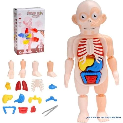 67JC 1Set Montessori Learning Toy 3D Body Puzzle Jigsaw Sensory Stacking Human Anatomy Human Body Model Assembly Model