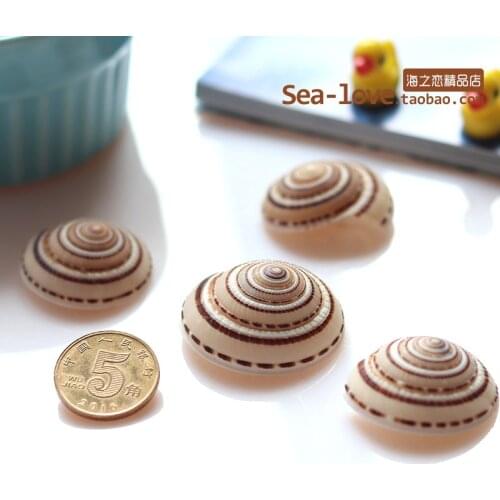 Creative DIY Lucky Message Bottle Fish Tank Shooting Props Sea Snail Shells Starfishes Mediterranean Specimens Gifts Ornaments