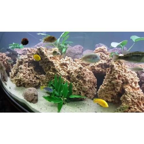 Sphagetti rock 950-1000 gram 1 pcs