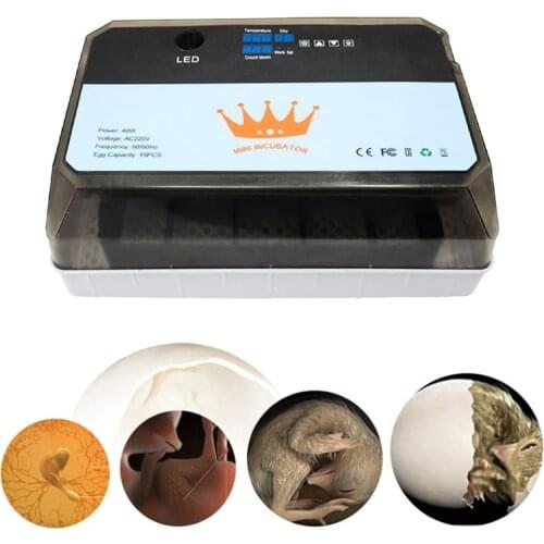 High Hatching Rate Farm Brooder Machine 15 Egg Hatchers Automatic Egg Incubator Chicken Brooder Professional Incubator