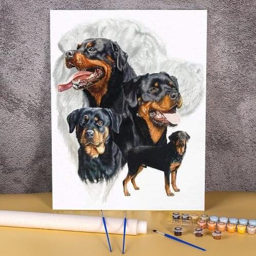 Animal Dog Rottweiler Paint By Numbers Set Oil Paints 40*50 Picture By Numbers Photo Home Decor Adults Wholesale Drawing