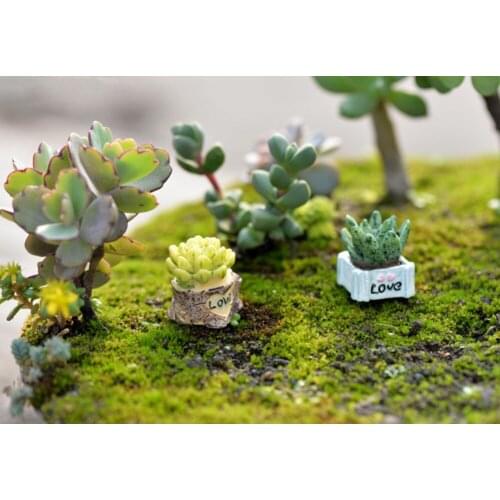 1PCS micro landscape ornaments succulent cactus potted DIY Artificial Fleshy Cactus Plant home decoration accessories (random