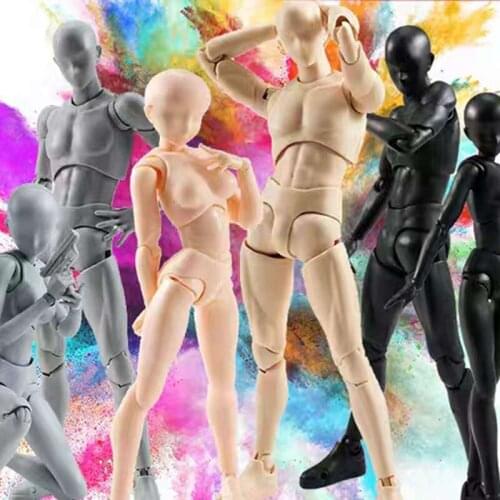 Authentic Action Figure Bandai 15cm SHF Male Female Body Toy Teaching Drawing Model Dedicated Deluxe Edition Articulated Gift