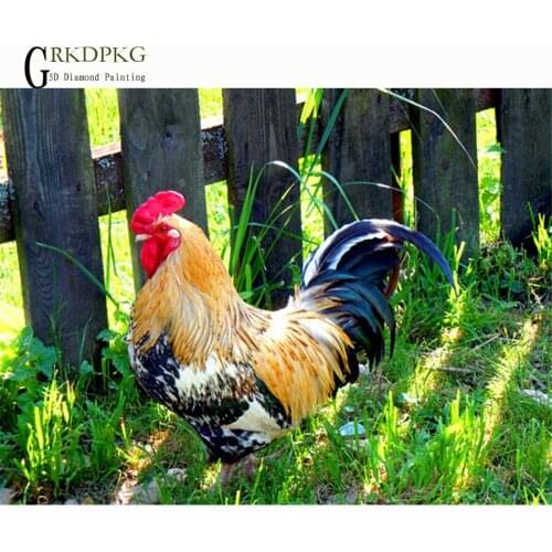 GRKDPKJ 5d diy Full square diamond painting Cock red fence grass Wedding decoration painting accessories pictures of rhinestones