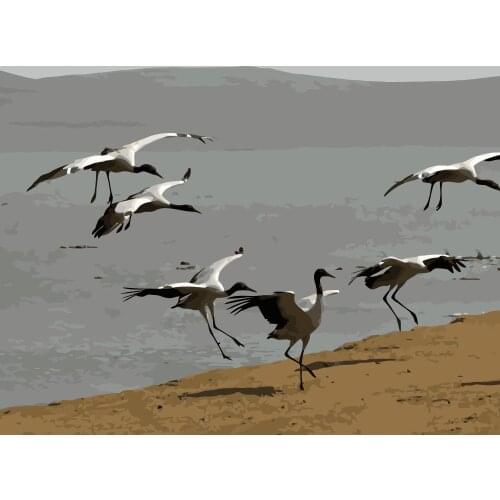 MaHuaf-i851 Room Home Decor Wall Art DIY Painting By Numbers On Canvas Frameless Modern Realist Wall Pictures birds on the beach