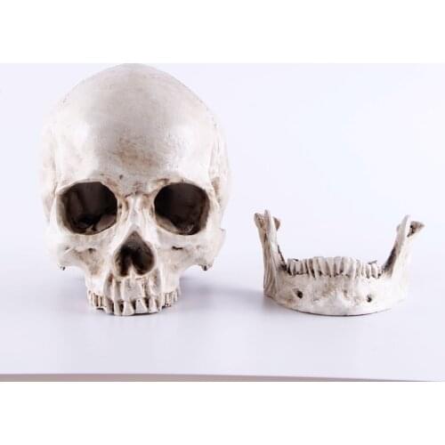 Resin Skull Mold Lifesize 1:1 Medical People Skull Model Halloween Home Skull Statues Decoration Decorative Sculptures Crafts