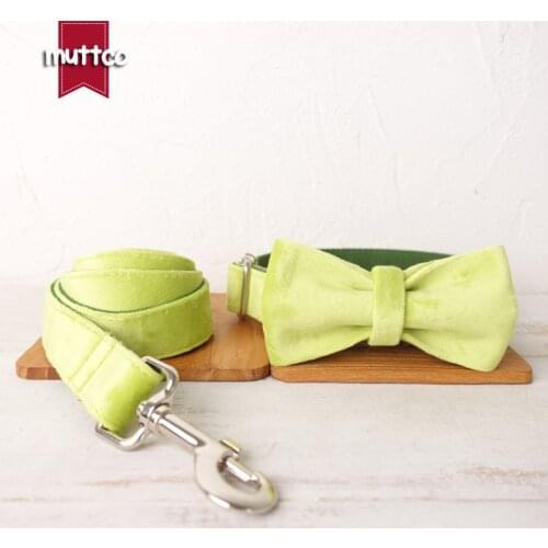 MUTTCO pretty pet dog ID tag collar leash ACOCADO self-design adjustable puppy nameplate collar 5 sizes UDC110