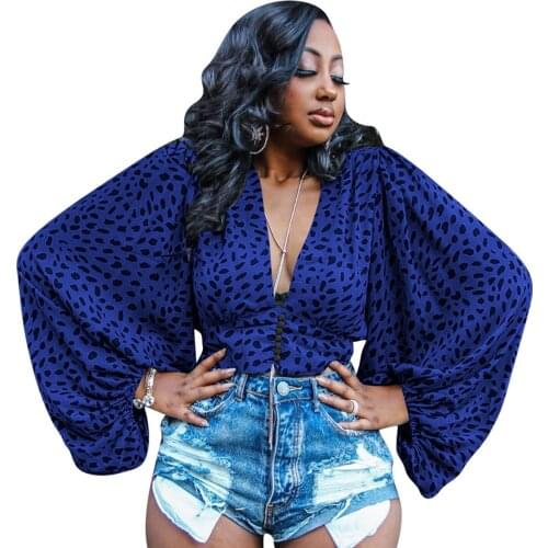 New Fashion Women Ladies Summer Autumn Casual Leopard Print Long Sleeve Shirts Bat Sleeve Loose Pullover Top Blue Red Green