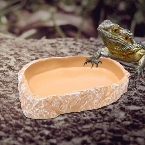 Food Container Feeder Feeding Dish Supplies Food Container Feeder Dish Resin Lizards Gecko Reptiles Bowl Basin