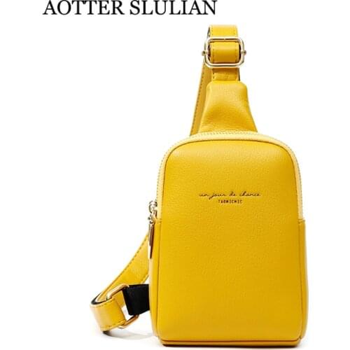 AOTTER SLULIAN Hobo Bags