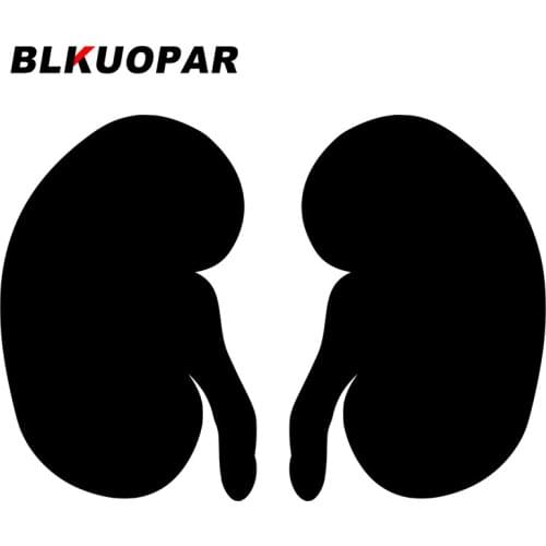 BLKUOPAR for Kidney Organ Anatomy Car Stickers Occlusion Scratch Graffiti Decals Windshield Vehicle Decor Car Styling