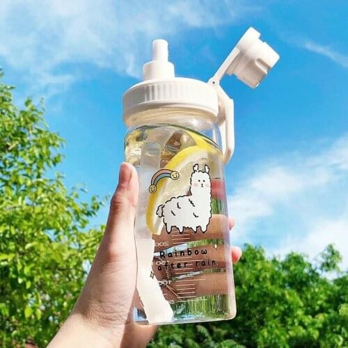 500Ml Creative Little Daisy Cartoon Cute Portable Water Bottle Korean Style frosted Glass Heat Resistant Water Cup With Straw