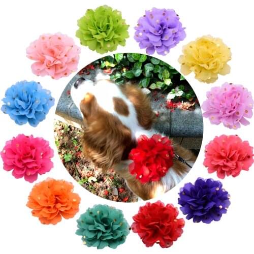 20PCS Pet Dog Cat Collar Charms Removable with Golden Polka Dots Chiffon Flowers For Dog Wedding Grooming