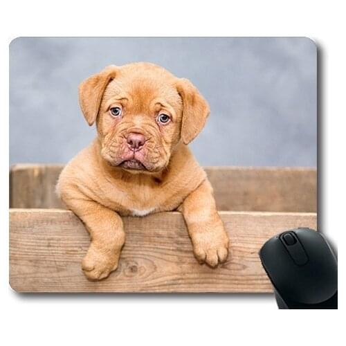 Custom Mouse Pad Funny Dog,Dogue De Bordeaux Puppy Dogs Sweet Cute Pet,dogs mouse mat
