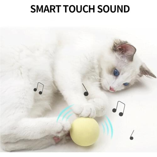 Pet Ball Cat Toys New Smart Sounding Toys Interactive Pet Toys Squeak Toys Ball Catnip Pet Supplies
