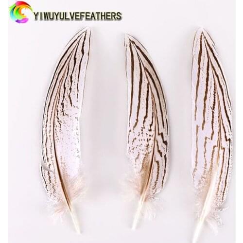 20pcs/lot Pearl Pheasant Feathers Natural pheasant feather 15-20cm silver Feathers DIY Clothing hat Accessories Plumes