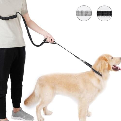 Multifunction Stretch Dog Leash For Medium Large Dogs Round Rope Retriever Lead Chain Outdoor Dogs Training Walking Pet Supplies